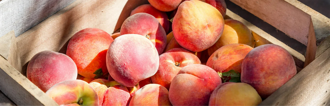 Nature's Show-Off: The Perfect Peach Journey